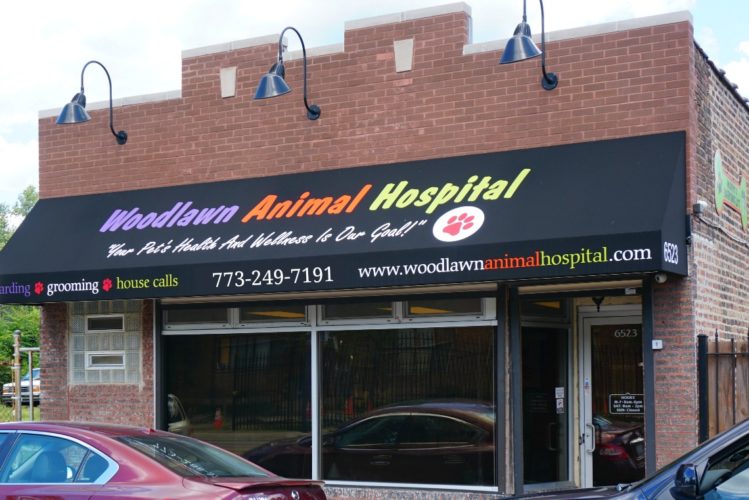 Woodlawn Header 45 Visit Woodlawn today for expert veterinary services and save