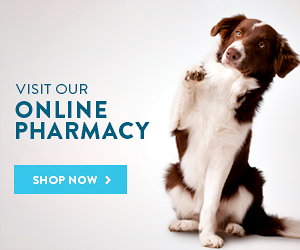 Shop_Now_Button_61 Shop Our Online Pharmacy