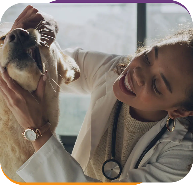 A veterinarian joyfully examining a happy dog during a checkup.