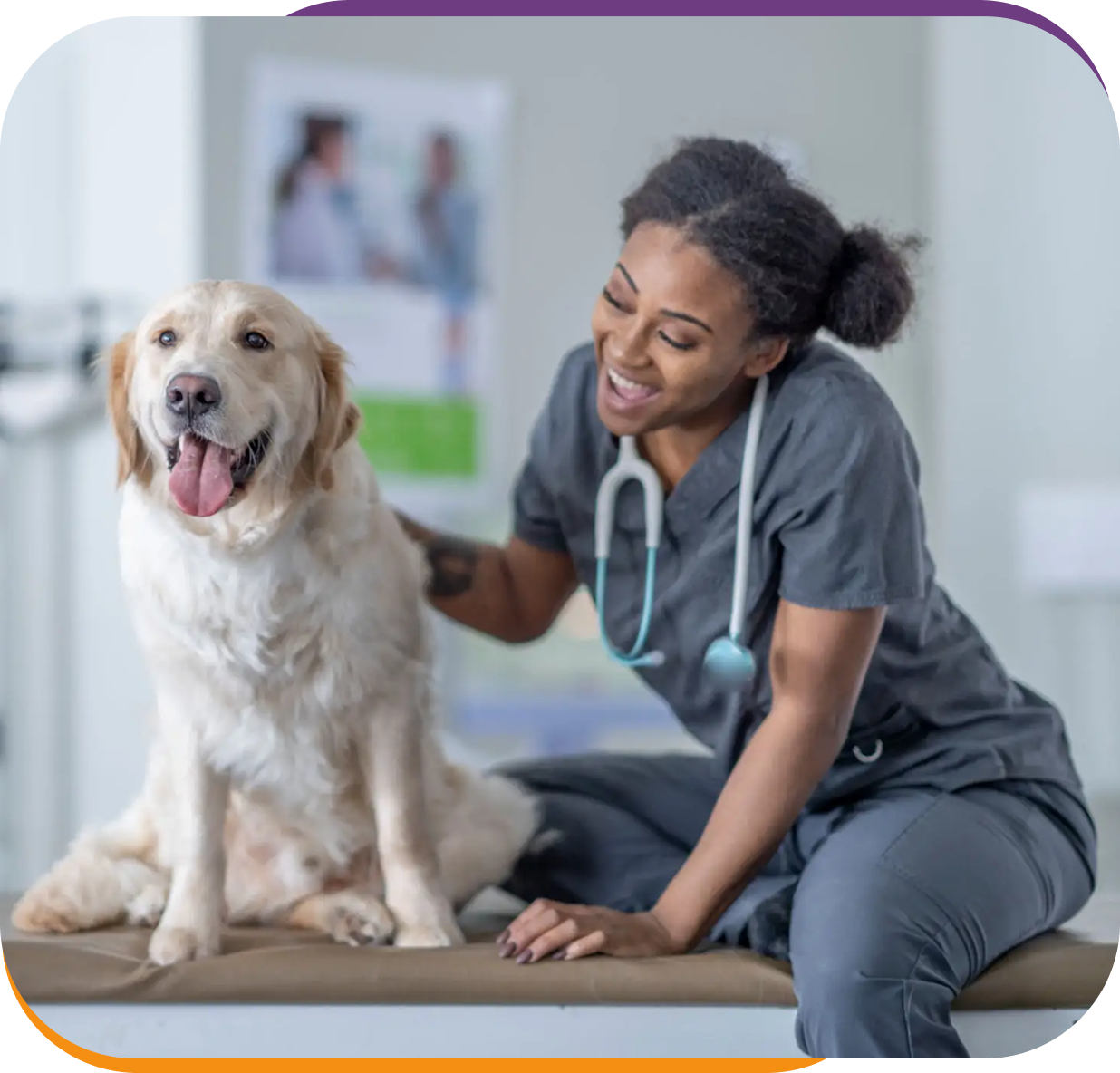 A veterinarian gently petting a happy golden retriever on an exam table.