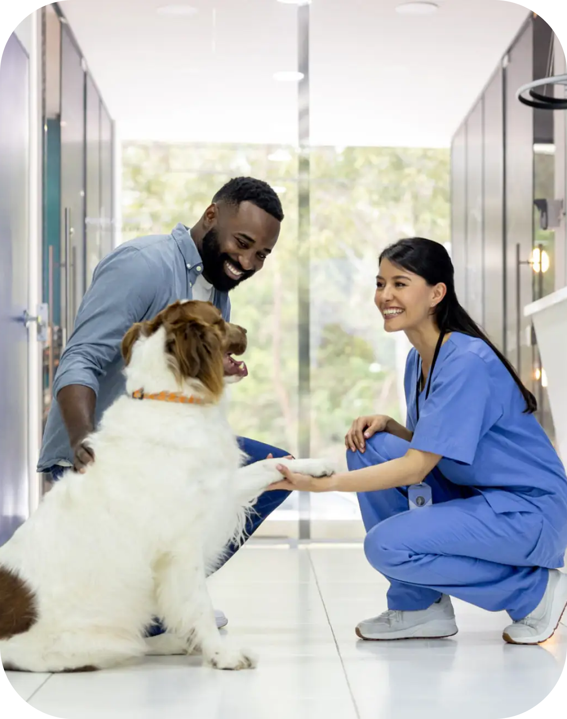 Veterinarian and assistant examining a happy dog in clinic.